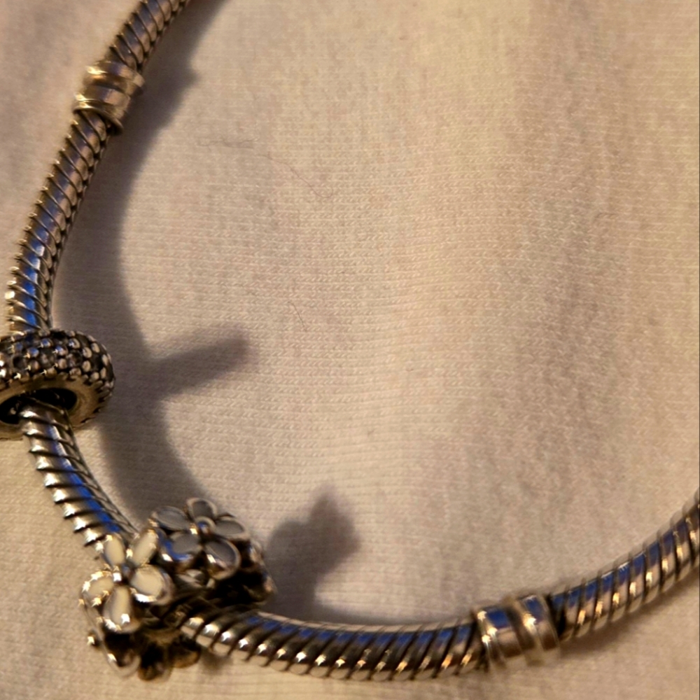 Pandora Bracelet